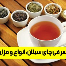 معرفی چای سیلان ، انواع و مزایای آن