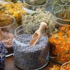 همه چیز درباره دمنوش های گیاهی: خواص، انواع و کاربردها
