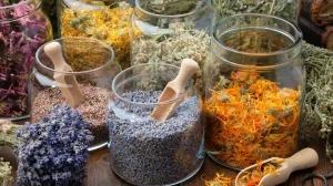 Read more about the article همه چیز درباره دمنوش های گیاهی: خواص، انواع و کاربردها