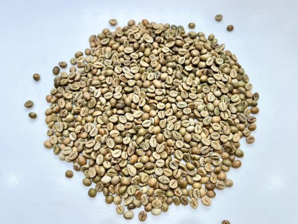 دانه های قهوه سبز روبوستا - RC PB - تصویر 2