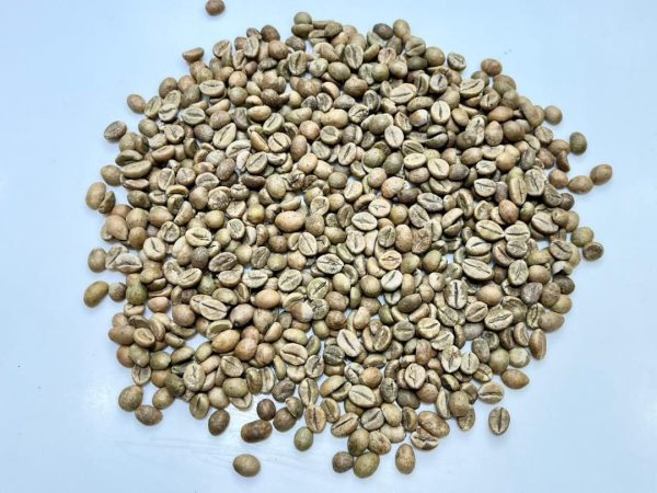دانه های قهوه سبز روبوستا - RC AA - تصویر 2